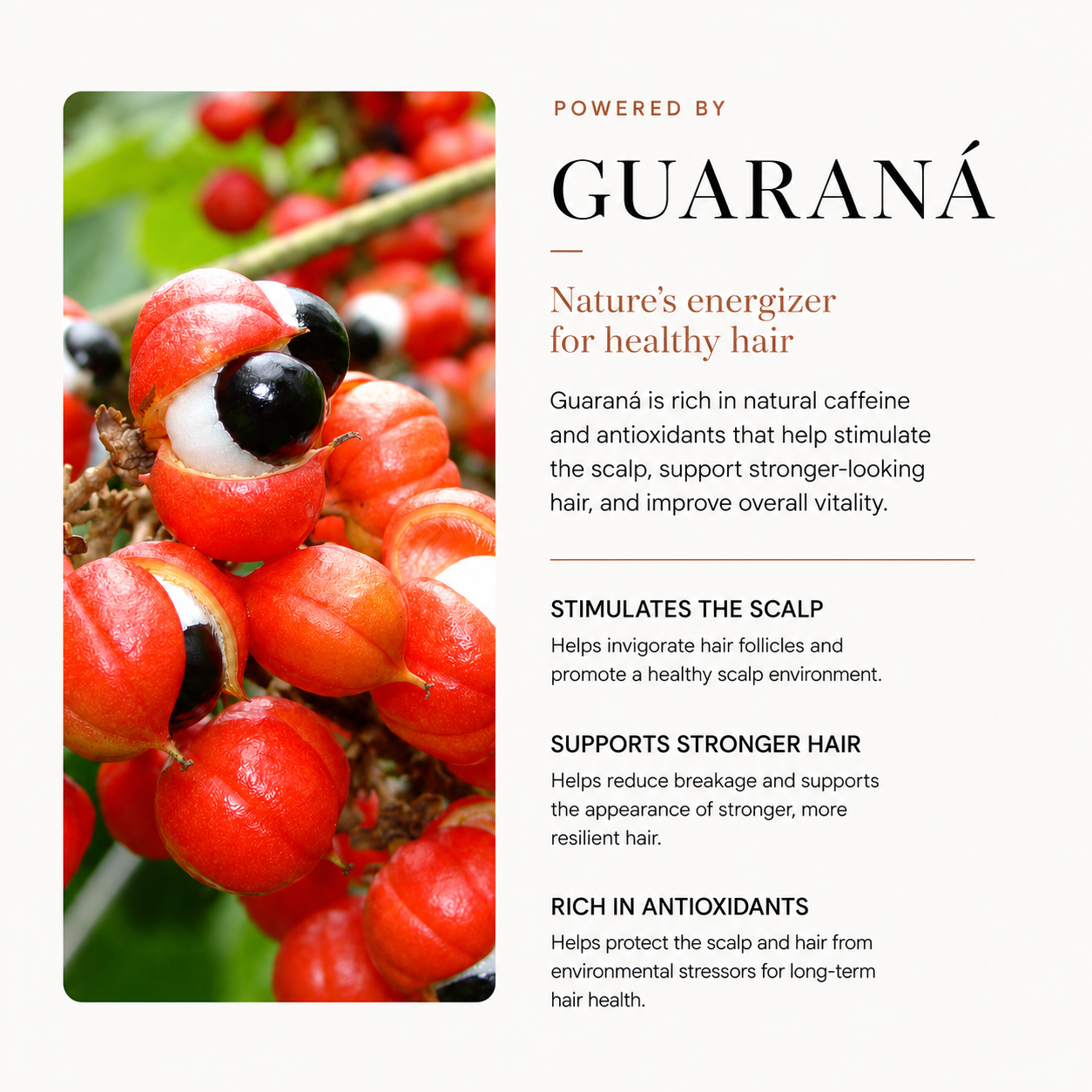 Guarana Aktiv Stimulierender Conditioner