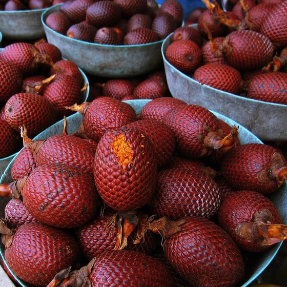 Buriti Nut Intensive Repair Shampoo