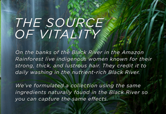 Brazilian Black Clay, Inner Core Bonding Strengthening Mist