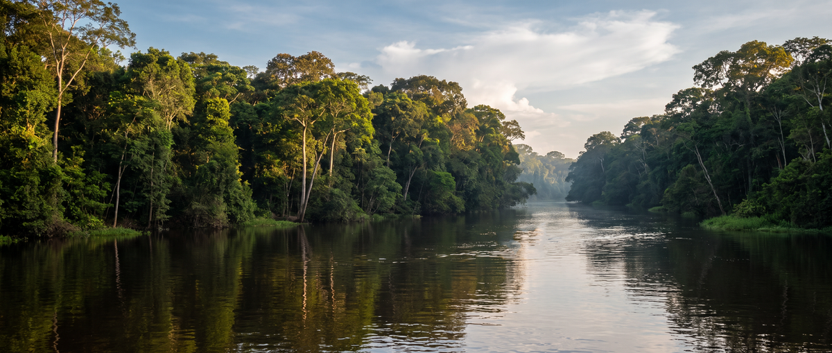 Sunlit Amazon rainforest and river with natural reflections